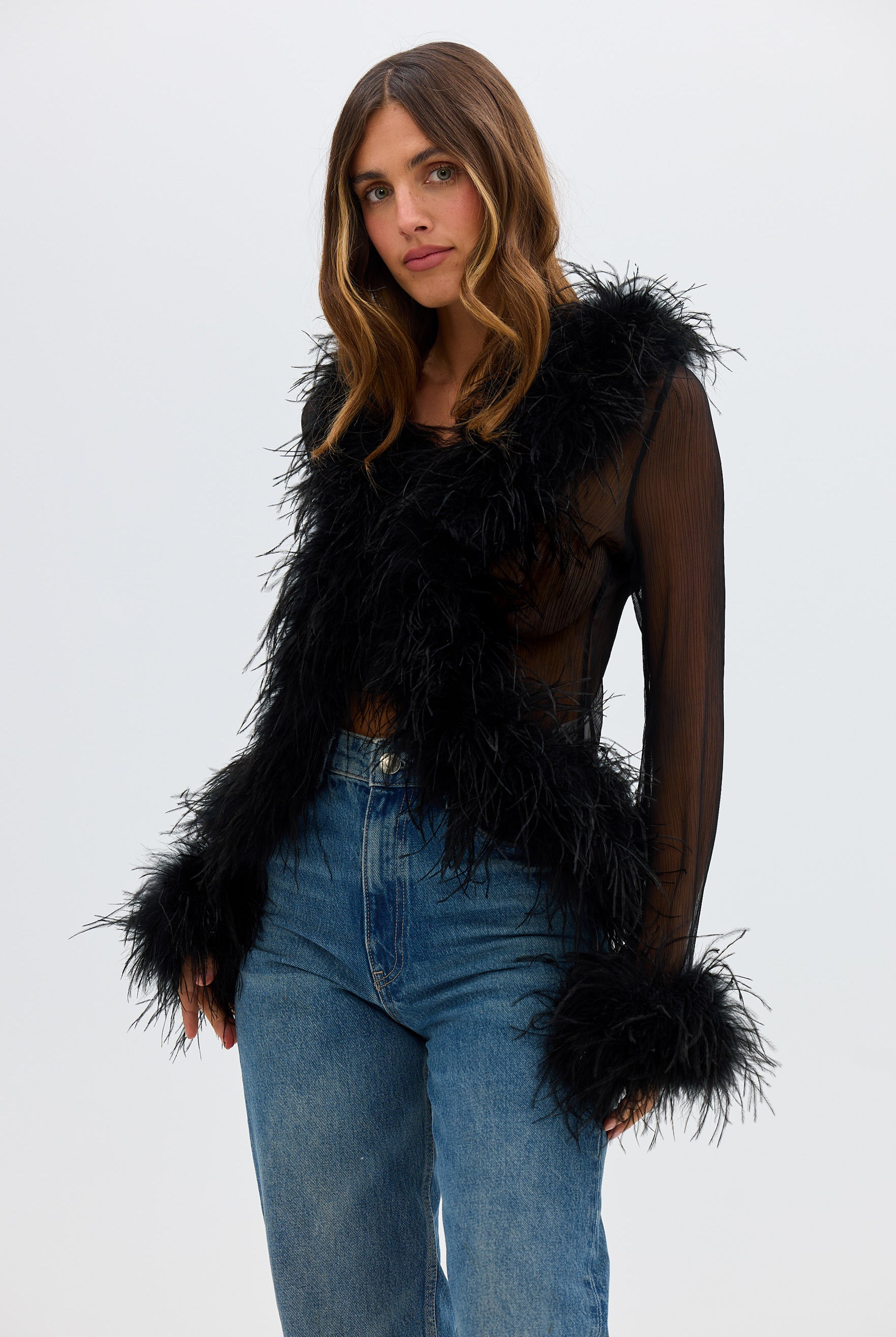 Gigi Sheer Feather Blouse - Black Bubish