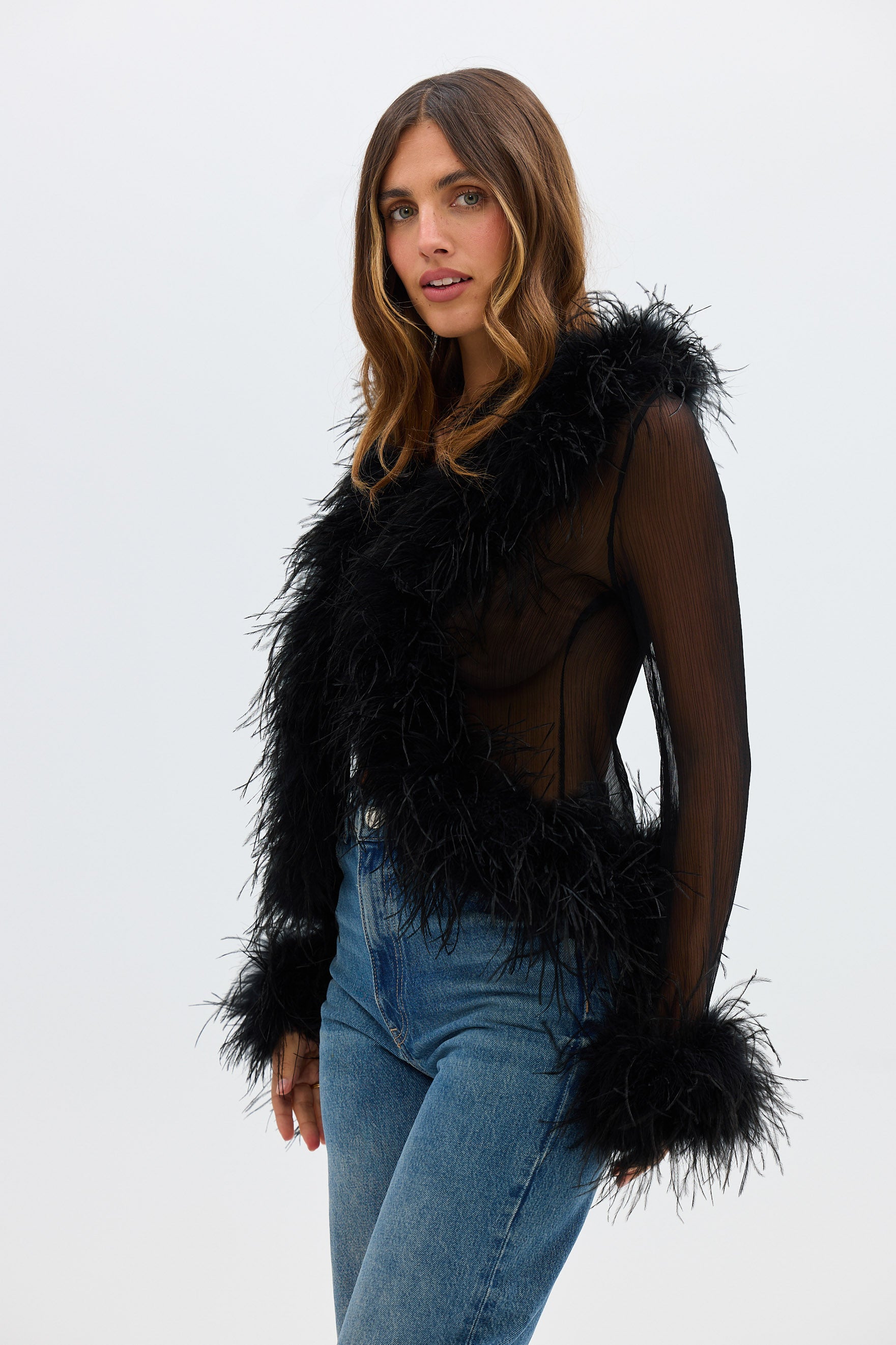 Gigi Sheer Feather Blouse - Black Bubish